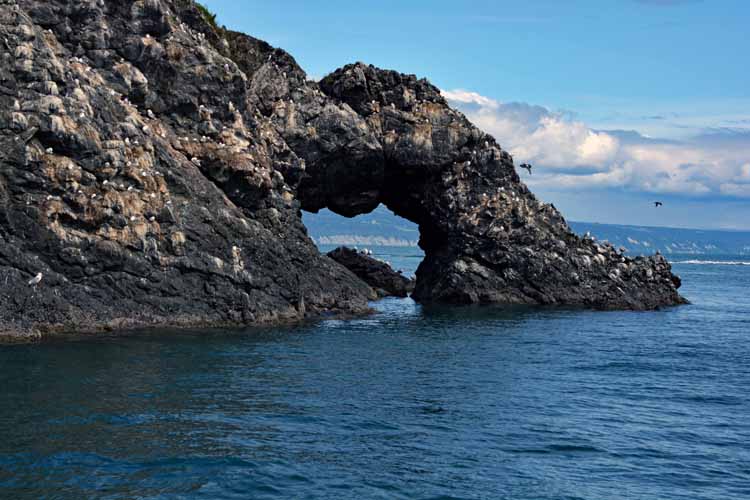 gull island